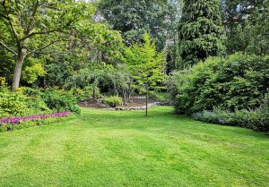 Optimiser l'expérience du jardin à Chateau-Salins